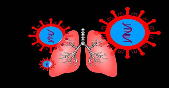 https://www.dkn.tv/wp-content/uploads/2020/03/coronavirus-4844595_1280-1-700x366.jpg