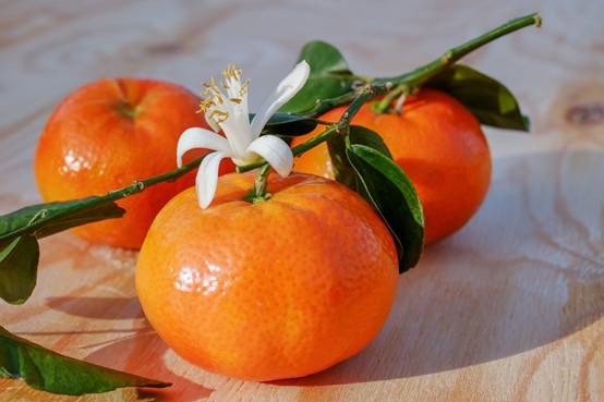 https://www.dkn.tv/wp-content/uploads/2020/03/tangerines-3114765_1280.jpg