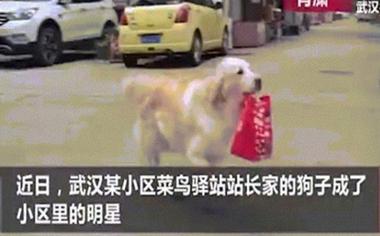 Ch ch gip đưa đồ ăn cho 600 người cch ly ở Vũ Hn mỗi ngy