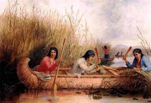 http://www.daikynguyenvn.com/wp-content/uploads/2017/07/rice-gatherers-eastman.jpg