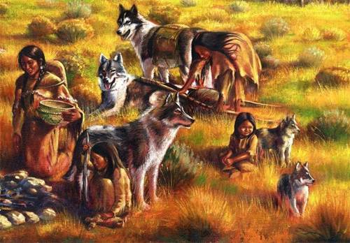 http://www.daikynguyenvn.com/wp-content/uploads/2017/07/native-american-indian-dog.jpg