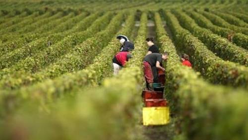 http://scd.vi.rfi.fr/sites/viet.filesrfi/imagecache/rfi_large_600_338/sites/images.rfi.fr/files/aef_image/champagne.jpeg