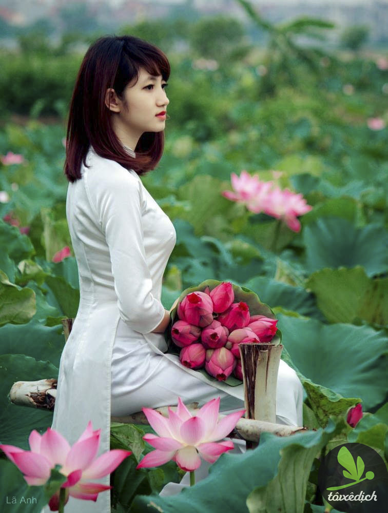 http://toixedich.com/wp-content/uploads/2014/09/12004232483_75394a26d9_b.jpg